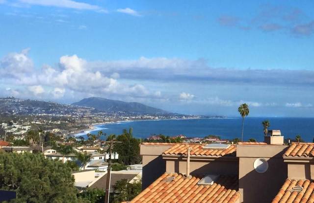 24381 Vista Point Lane - 24381 Vista Point Lane, Dana Point, CA 92629
