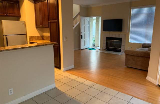 65 Cinnamon Teal Gallery 3