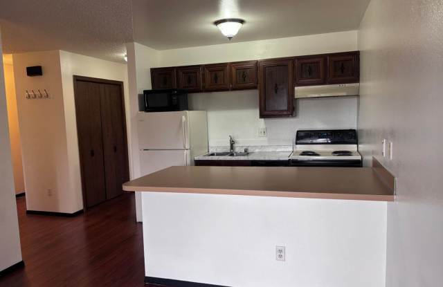 1 Bed/1 Bath South Anchorage  Condo with Washer and Dryer! Gallery 1