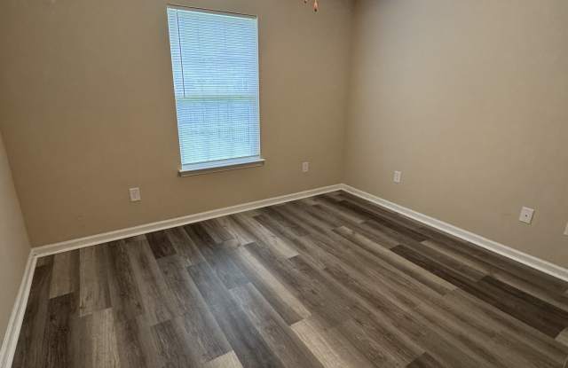 224 FOXPATH LOOP Gallery 2