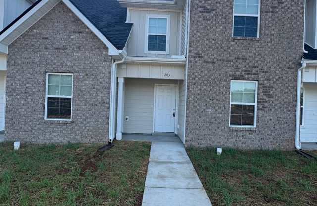 3 Bed / 2 Bath townhome in Smyrna TN - BRAND NEW WAITING FOR YOU TO MOVE IN photos photos