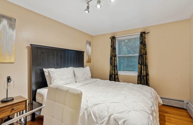 8 Coleus Park - 8 Coleus Park, Boston, MA 02121