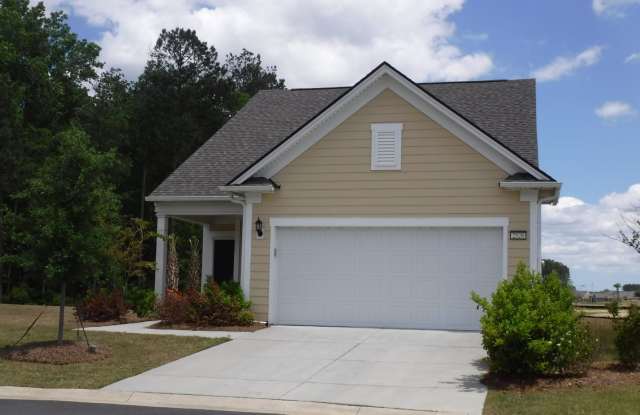 2528 Freshwater Lane - 2528 Freshwater Lane, Hardeeville, SC 29909