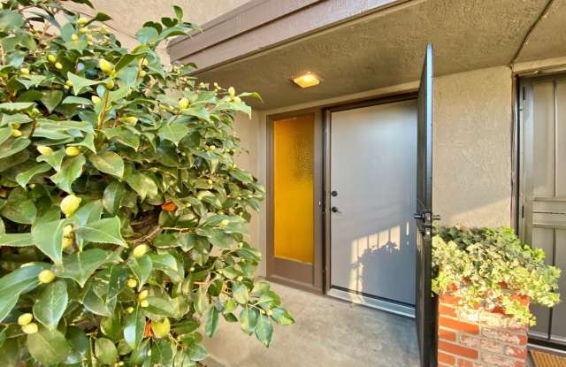 2264 Clay Street - 2264 West Clay Street, Napa, CA 94559