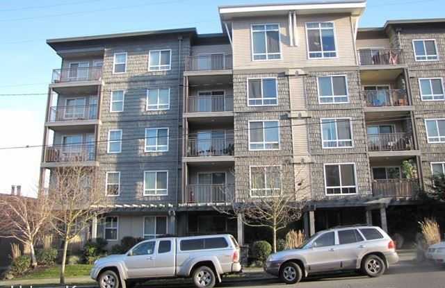 3015 SW Avalon Way Unit #500 Gallery 2