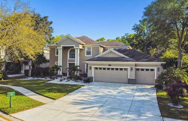 2218 CLIMBING IVY DRIVE - 2218 Climbing Ivy Drive, Lake Magdalene, FL 33618 2218 CLIMBING IVY DRIVE - 2218 Climbing Ivy Drive, Lake Magdalene, FL 33618