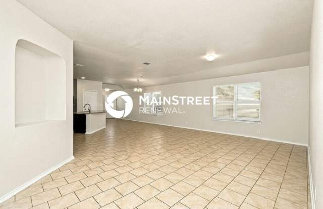 15102 Cinnamon Teal Gallery 3