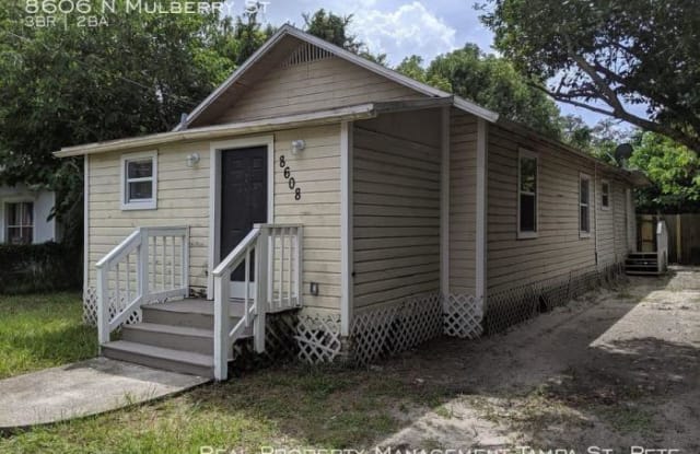 8606 N Mulberry St - 8606 North Mulberry Street, Tampa, FL 33604