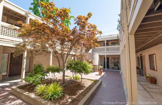Amazing Downtown Los Gatos Location * One Occupant Must be 55 or Older - 439 Alberto Way, Los Gatos, CA 95032