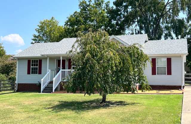 Lovely Ranch Home in Smyrna - No HOA Gallery 3