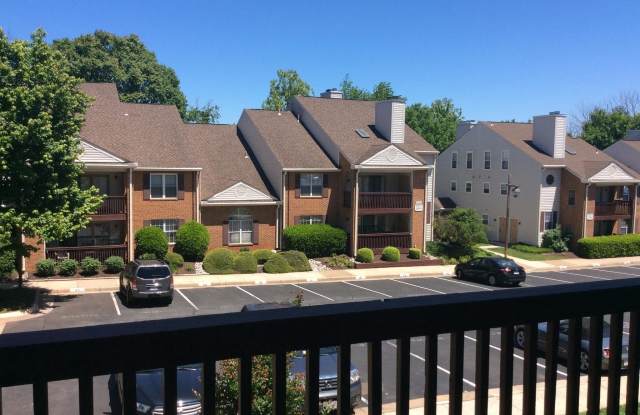 9933 GRAPEWOOD COURT Gallery 4