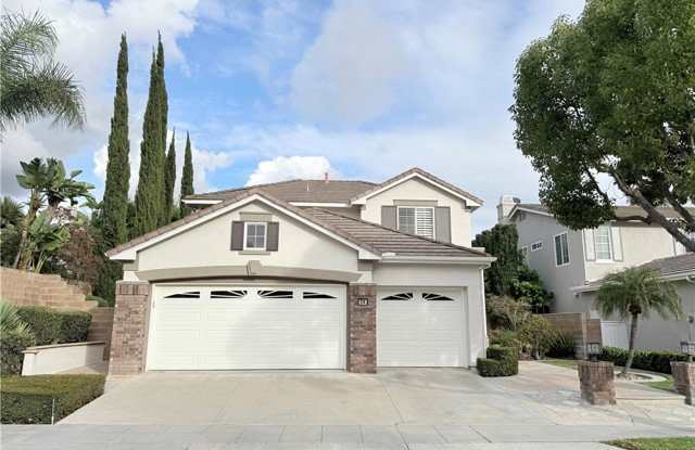 24 Bristlecone photos photos