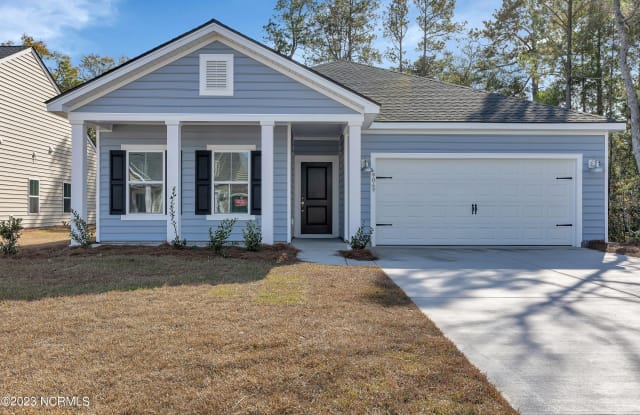9069 Little Osprey Drive - 9069 Little Osprey Drive, Brunswick County, NC 28467