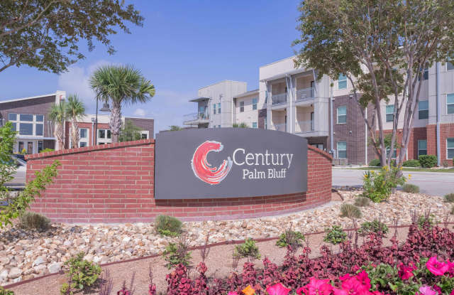 Century Palm Bluff Gallery 3