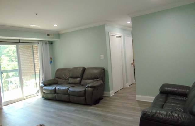 7903 BADENLOCH WAY #203 Gallery 2