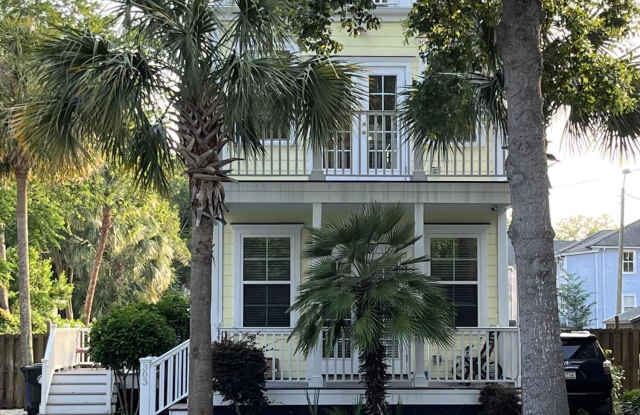 303 Coming Street - 303 Coming Street, Charleston, SC 29403 303 Coming Street - 303 Coming Street, Charleston, SC 29403