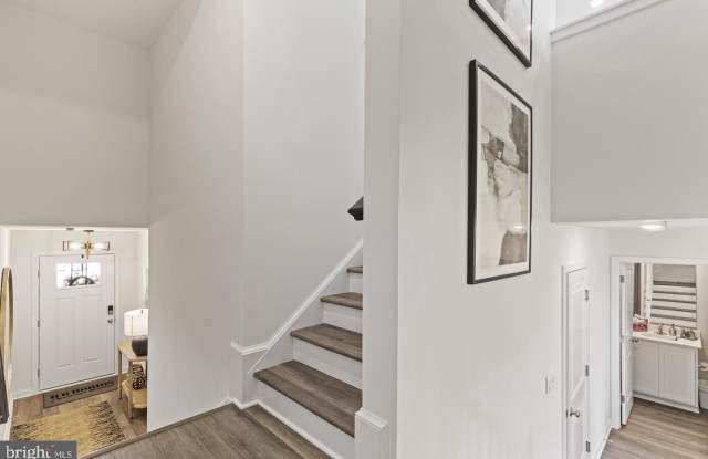 15037 DOUGLAS FIR Lane Gallery 3