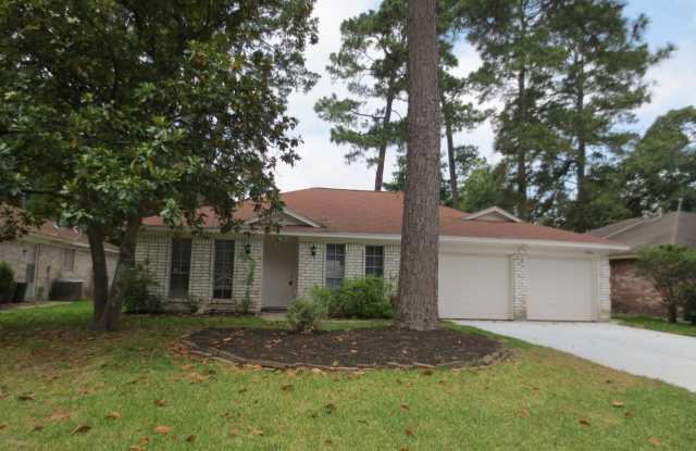 23123 Berry Pine Dr - 23123 Berry Pine Drive, Spring, TX 77373