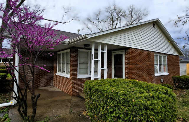 801 North Ohio Street - 801 North Ohio Street, Tuscola, IL 61953