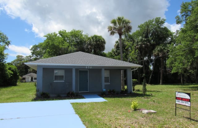570 Ronnoc Ln - 570 Ronnoc Lane, New Smyrna Beach, FL 32168