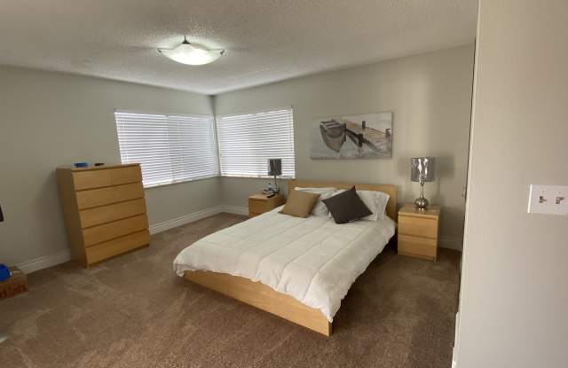 29254 Bay Hollow Dr Apt 3271 - 29254 Bay Hollow Drive, Wesley Chapel, FL 33543