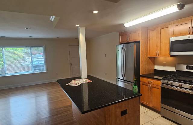 XL Luxury 1 Bed Townhome with Laundry in Unit. Gas, Ht, HW All included! photos photos