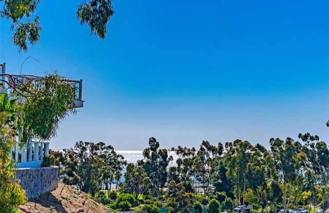 25236 Manzanita Drive - 25236 Manzanita Drive, Dana Point, CA 92629
