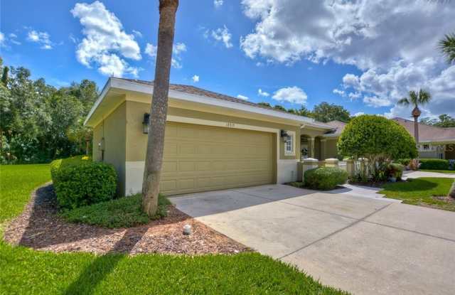 12715 ASTON CREEK DRIVE Gallery 3