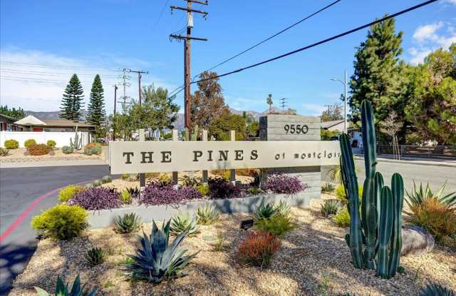The Pines Apartments photos photos