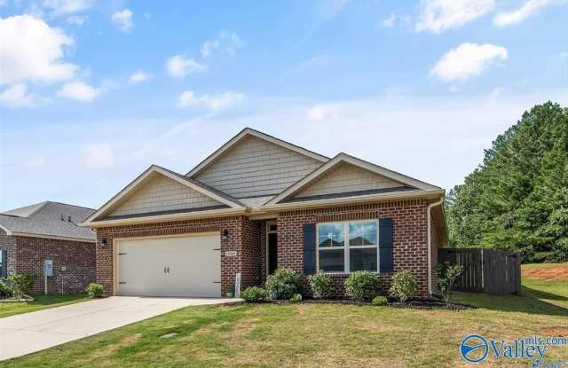 13348 Golden Hay Circle - 13348 Golden Hay Circle, Huntsville, AL 35756