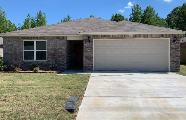 1075 O'Keefe Avenue - 1075 O'Keefe Avenue, Conway, AR 72032