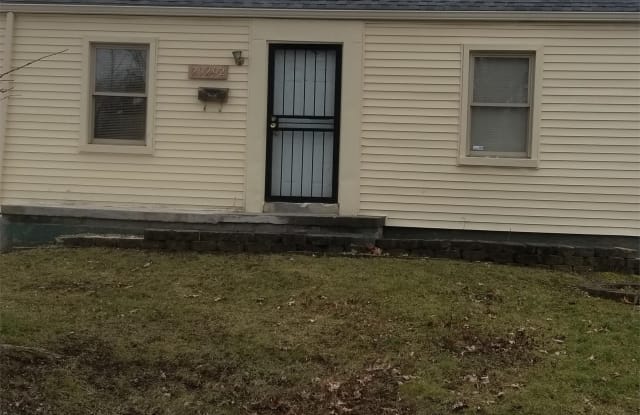 11101 Morang Avenue - 11101 Morang Drive, Detroit, MI 48224