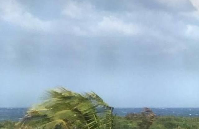 275 Palm Avenue photos photos