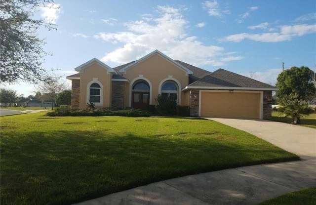 3033 PLYMOUTH ROCK CIRCLE - 3033 Plymouth Rock Circle, Mount Dora, FL 32757