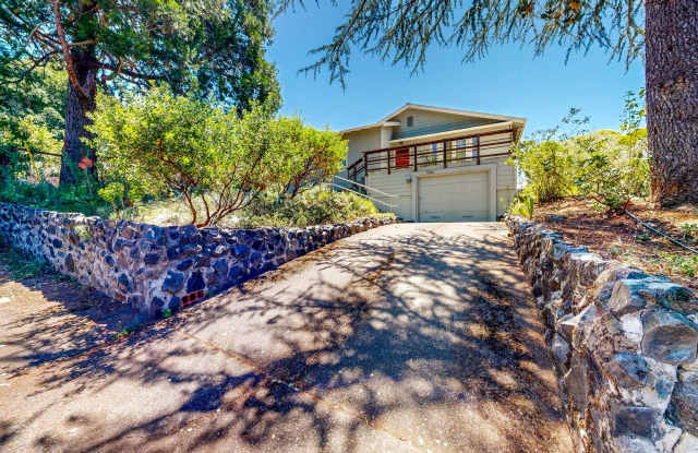 Beautiful Two Bedroom One Bath Close to Spring Lake & Annadel State Park Gallery 3