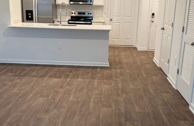 Charming 2BR Townhome in Middleburg - 3762 Spotted Fawn Court, Clay County, FL 32068