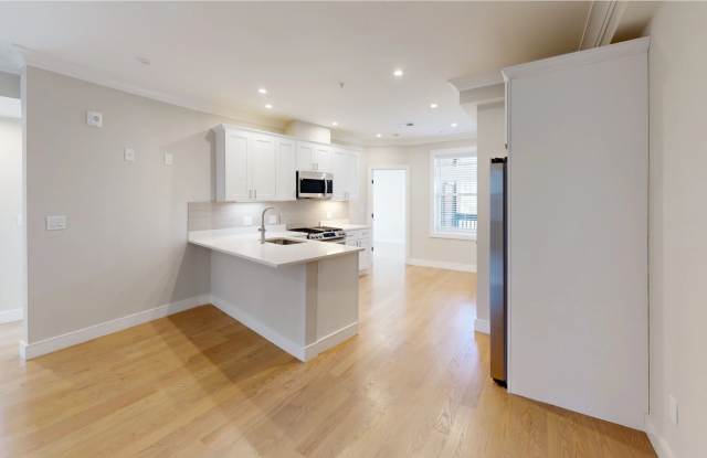 161 Allston Street - 161 Allston Street, Boston, MA 02134
