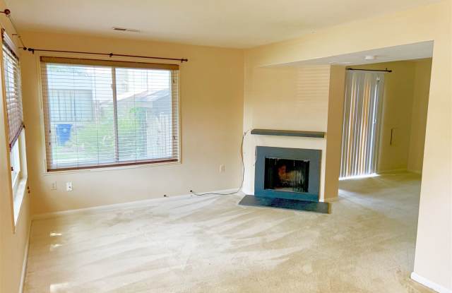 18712 Curry Powder Ln Gallery 3