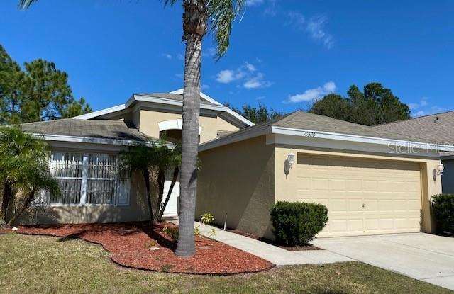 10520 EGRET HAVEN LANE - 10520 Egret Haven Lane, Riverview, FL 33578