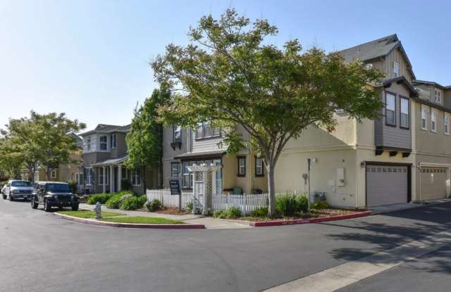 South Napa Three Bedroom House photos photos