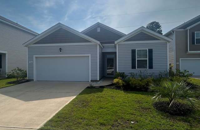 304 Emery Oak Drive - 304 Emery Oak Drive, Horry County, SC 29576