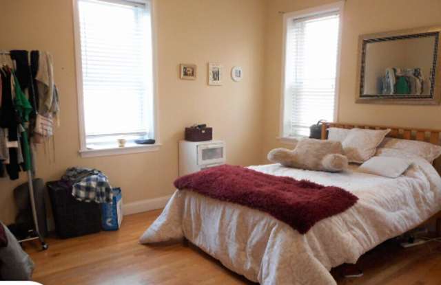 Perfect South Campus Apt for Boston University Students! photos photos