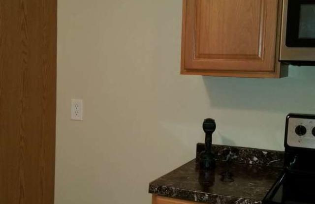 4139 Green Hawk Trl Gallery 3