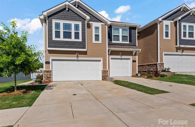 1230 Bigelow Street - 1230 Bigelow Street, Mecklenburg County, NC 28078