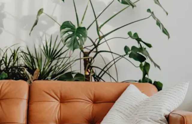 The Avenues Rental Homes photos photos
