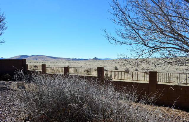 7168 Pinnacle Pass Dr.'VACATION RENTAL' Gallery 3