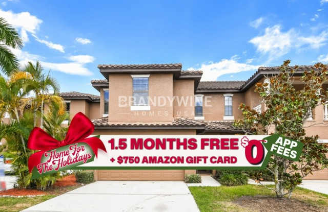 1208 La Fortuna Boulevard - 1208 La Fortuna Boulevard, Osceola County, FL 34744