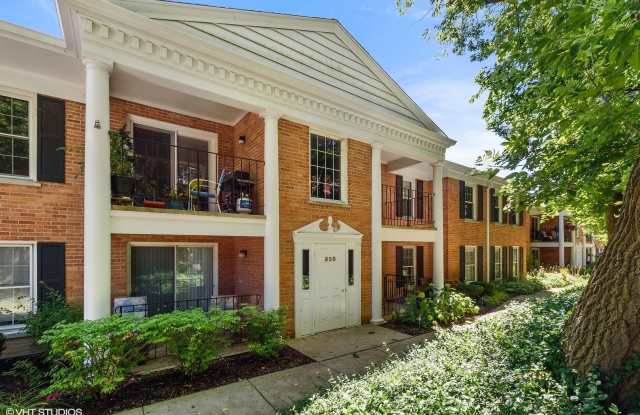 520 SHORELY Drive photos photos
