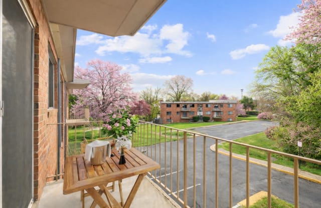 International Apartments Gallery 2