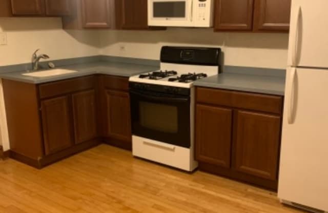 4028 N Troy St 2 - 4028 North Troy Street, Chicago, IL 60618